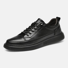 ALESSANDRO | Sneakers